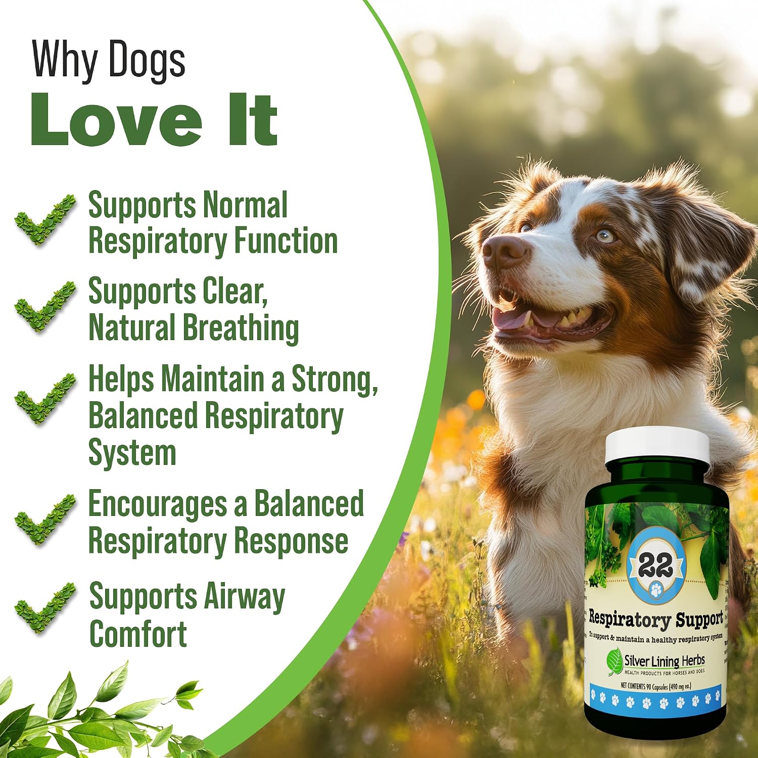 Silver Lining Herbs Dog Respiratory Support Capsules – Herbal Blend for Clear Breathing and Lung Health (90 Capsules) - görsel 2