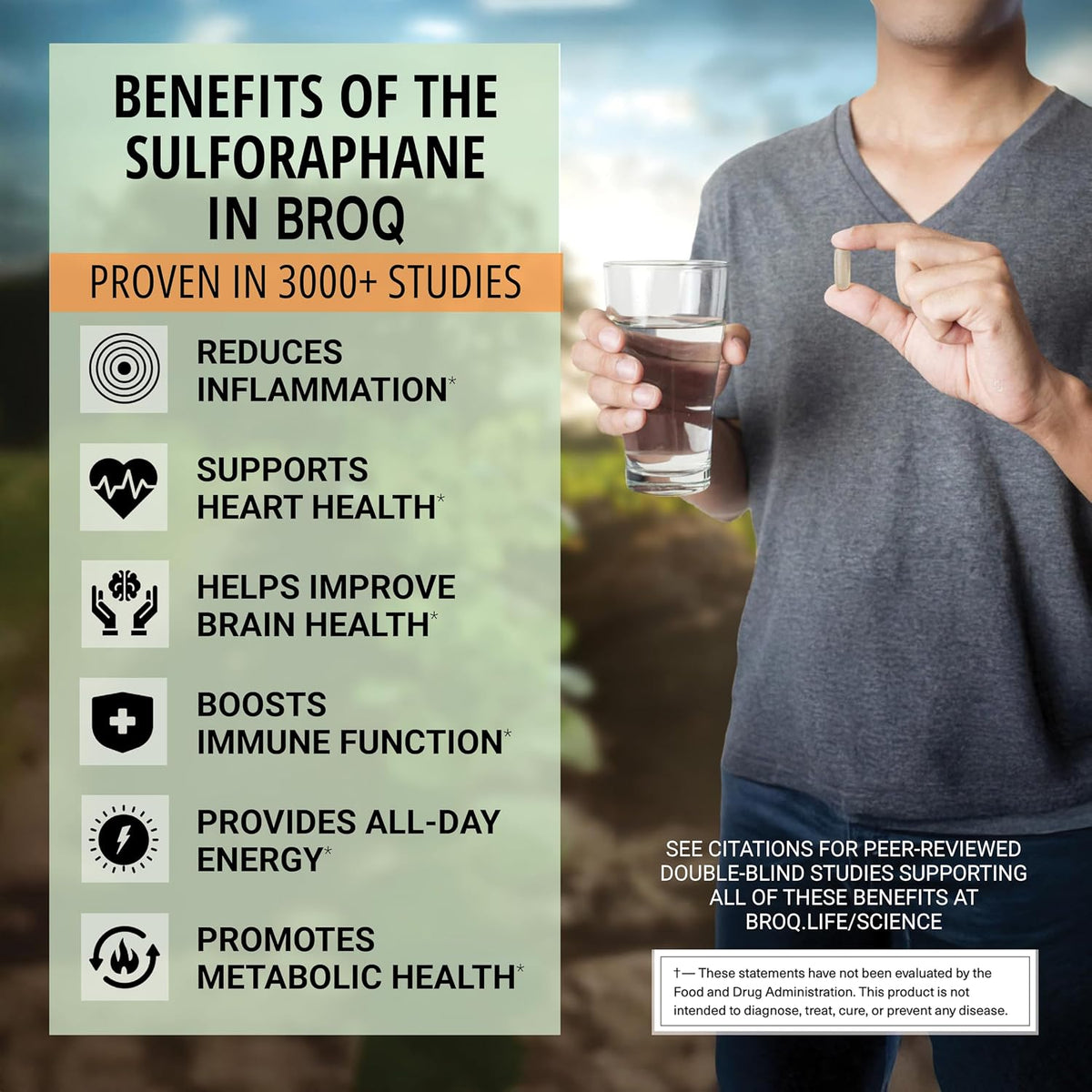 BROQ Sulforaphane – Twice the Active for Cellular Defence & Longevity - görsel 4