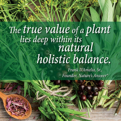 Nature's Answer Schisandra Berry Extract - Alcohol-Free, Gluten-Free Stress and Fatigue Support