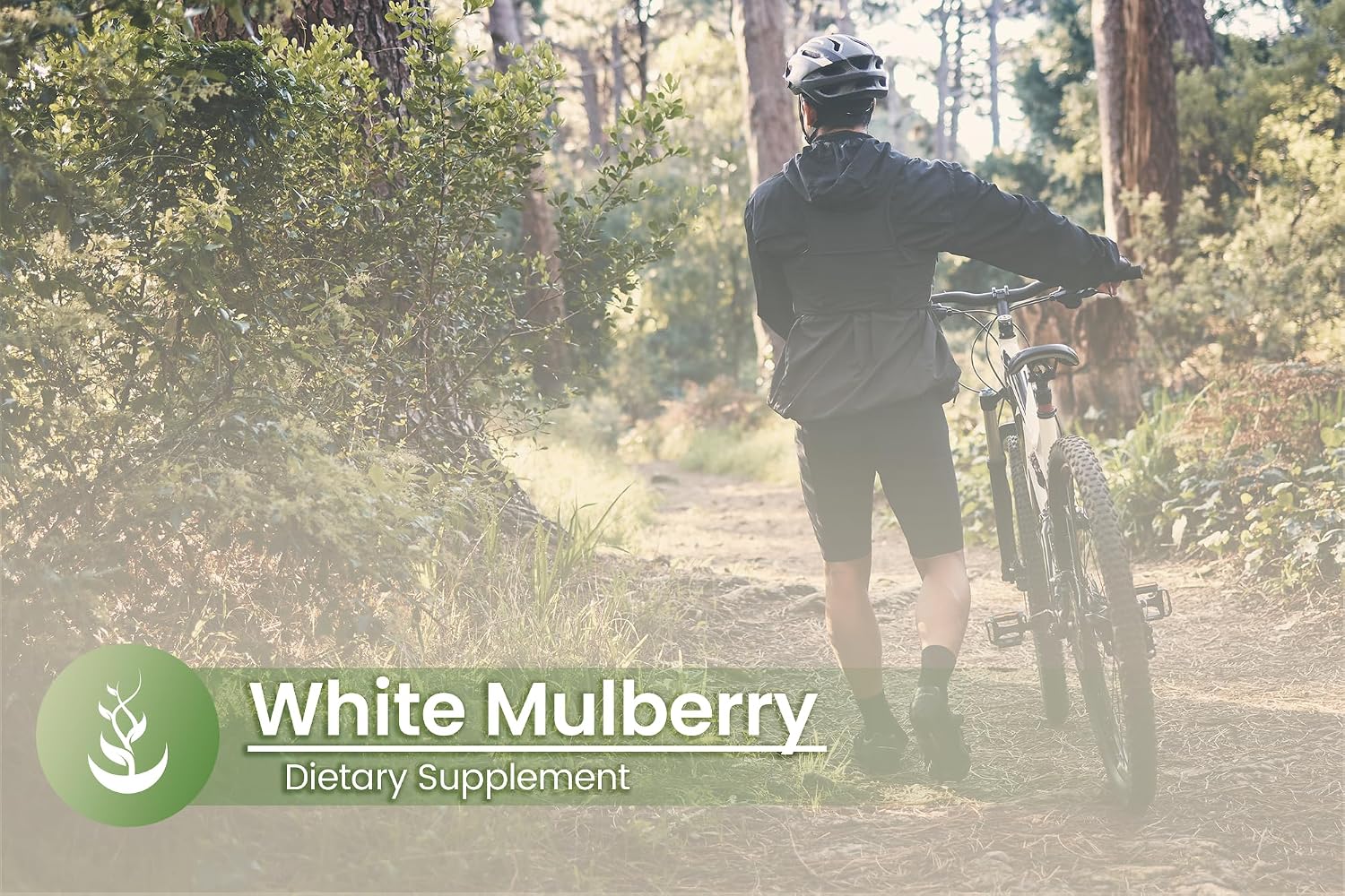 Pure Original Ingredients White Mulberry Leaf Extract - 100 Capsules - görsel 5