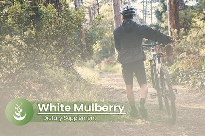 Pure Original Ingredients White Mulberry Leaf Extract - 100 Capsules