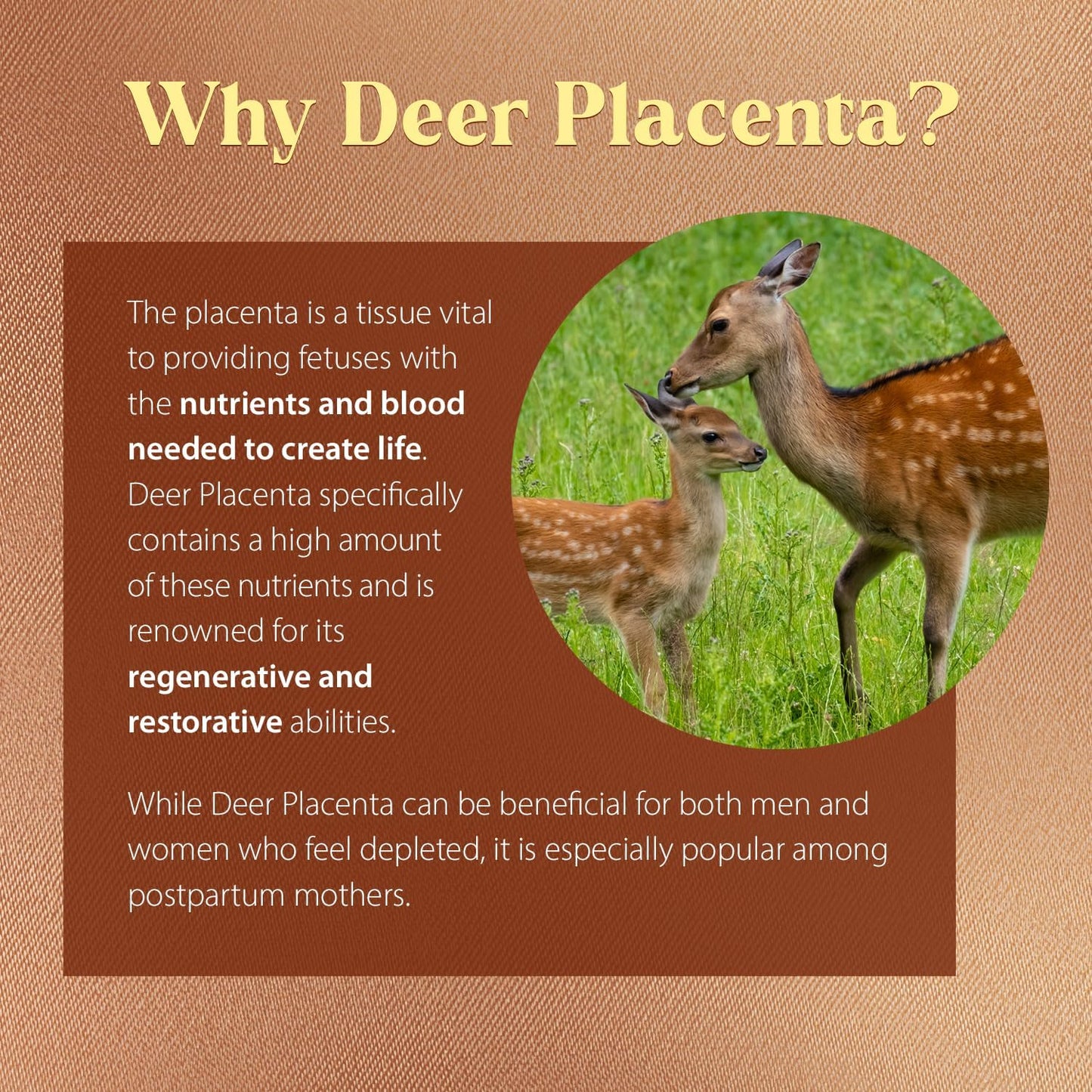 Dragon Herbs Deer Placenta Capsules - 500mg, 60 Capsules - görsel 2