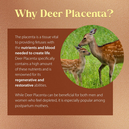 Dragon Herbs Deer Placenta Capsules - 500mg, 60 Capsules
