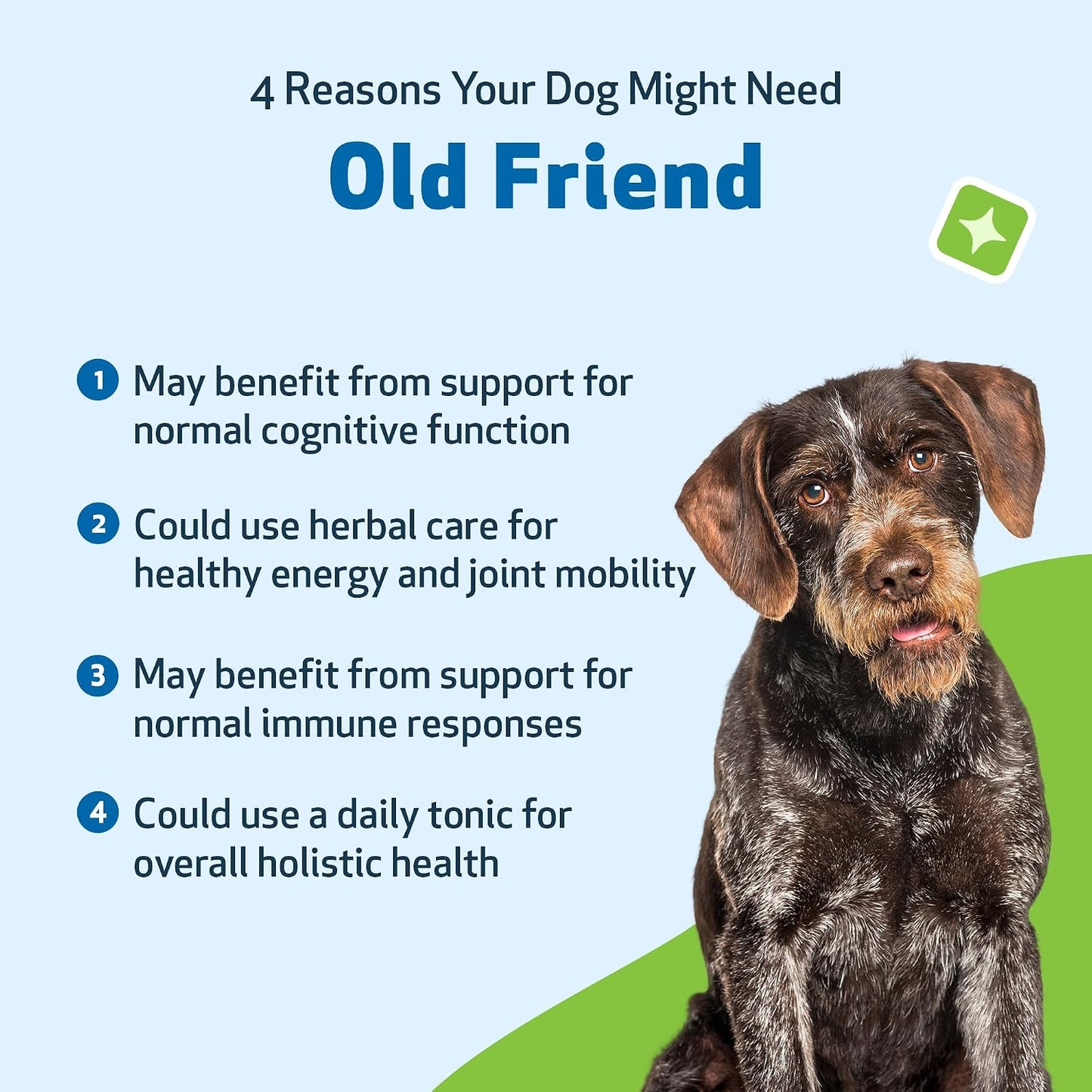 Pet Wellbeing Old Friend for Senior Dogs - Herbal Supplement for Immune, Joint, and Cognitive Support - 59 ml - görsel 9