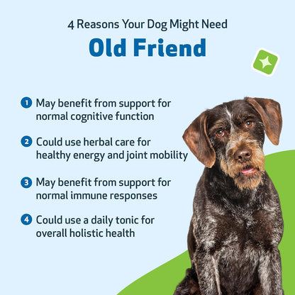 Pet Wellbeing Old Friend for Senior Dogs - Herbal Supplement for Immune, Joint, and Cognitive Support - 59 ml