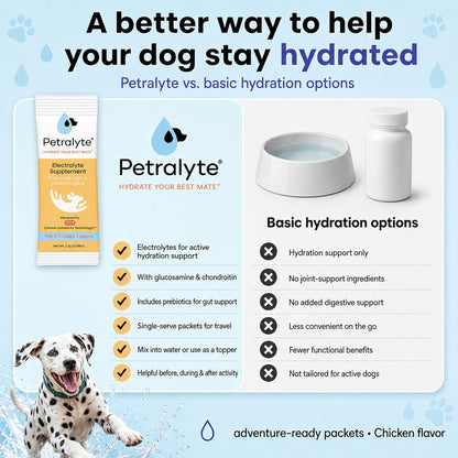 Petralyte Dog Electrolytes and Joint Supplement – Hydration Support with Glucosamine, Chondroitin & More – Chicken Flavour – 32 Packets