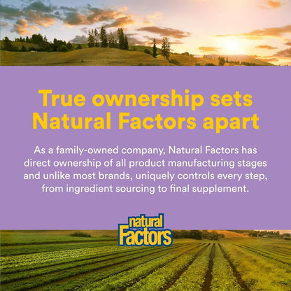 Natural Factors Pharma GABA - Food Supplement for Calm Sleep & Focus - 60 Vegetarian Capsules