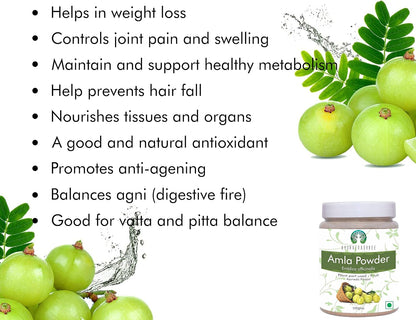 AYURVEDASHREE Amla Powder (Amalaki) - Raw, Vegan, 100g