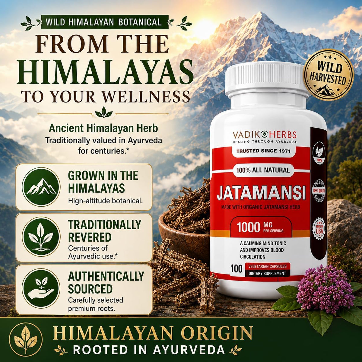 Vadik Herbs Jatamansi Capsules - 1000mg Organic Jatamansi Root for Calmness, Mental Clarity & Restful Sleep - 100 Vegetarian Capsules - görsel 4