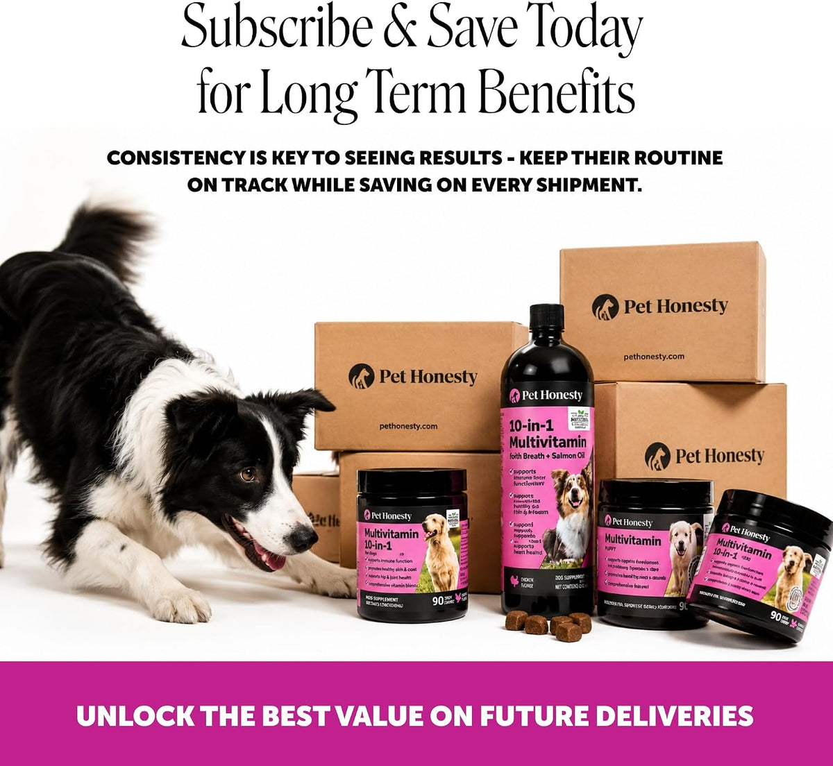 10-in-1 Dog Multivitamin Supplement with Glucosamine & Probiotics – Hip & Joint Support, Digestive Health, Immune Support – Peanut Butter Flavour, 90 Chews - görsel 4