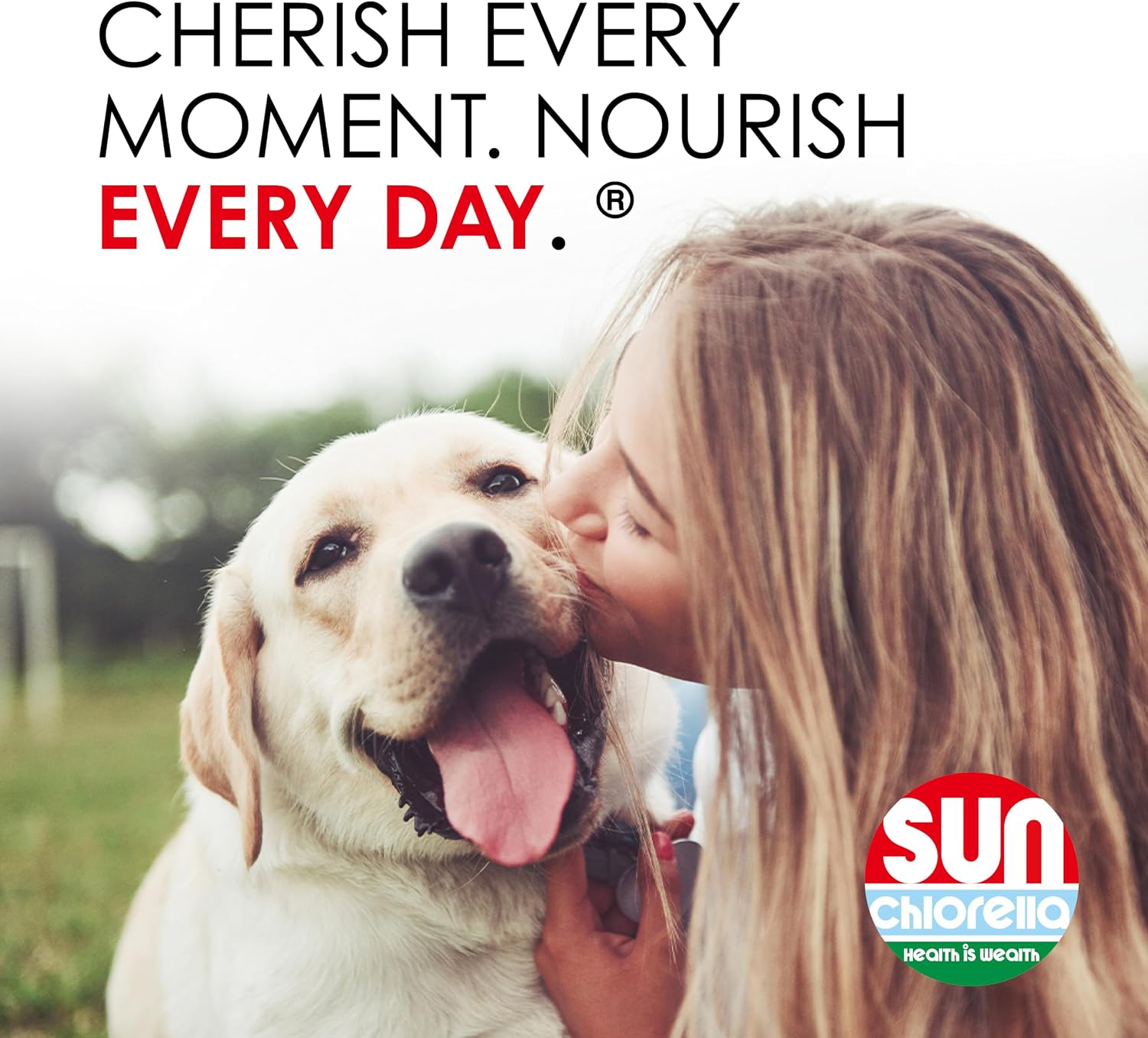 Sun Chlorella Pet Chews Green Superfood Supplement for Dogs and Cats - 120 Chews - görsel 3