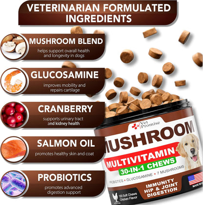 Vet Promise Turkey Tail Mushroom Dog Chews - 340 Chews - Immune Support Multivitamin