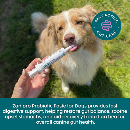 Zanipro Dog Diarrhoea Treatment, Fast Acting Upset Stomach Relief, Prebiotic & Probiotics for Dogs & Cats, Stop Loose Stools, Tasty Beef Flavour 30cc