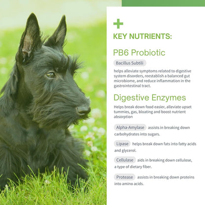 SensoVet Probiotics for Dogs with Prebiotics and Digestive Enzymes