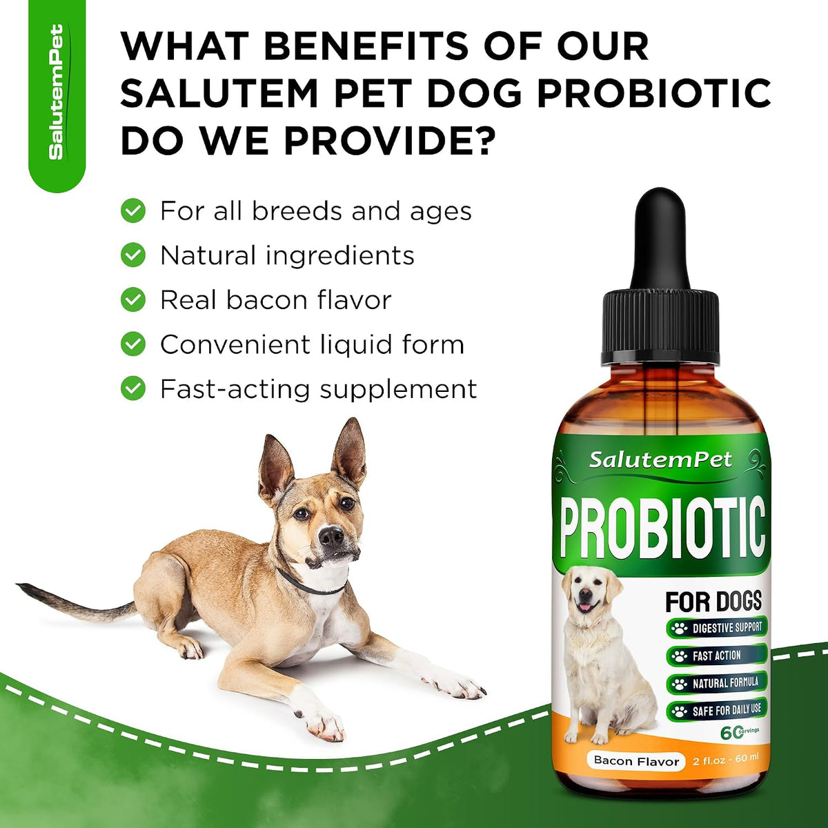 Probiotics for Dogs - Liquid Probiotics with Prebiotics & Digestive Enzymes - Gut Flora Support - Bacon Flavour - 59 ml - görsel 6