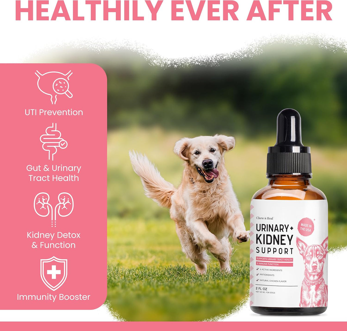 Urinary and Kidney Support for Dogs with - 60 ml of Kidney and Cranberry Supplement - Dogs UTI Treatment for Urinary Tract Health and Immune Function - Made in the USA - görsel 3