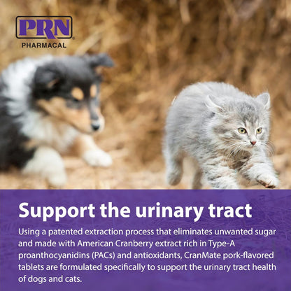 PRN Pharmacal CranMate Cranberry Supplement – Chewable for Dogs & Cats (60 Tablets)