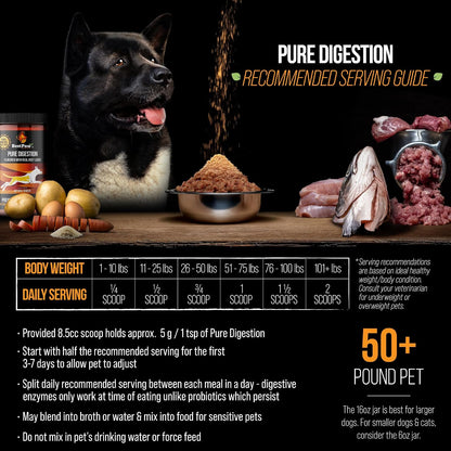 Best Paw Nutrition Probiotics for Dogs – Digestive Enzymes & Probiotic Powder with Pumpkin, Turmeric, Prebiotic FOS, Beef Liver Flavour (454 g)