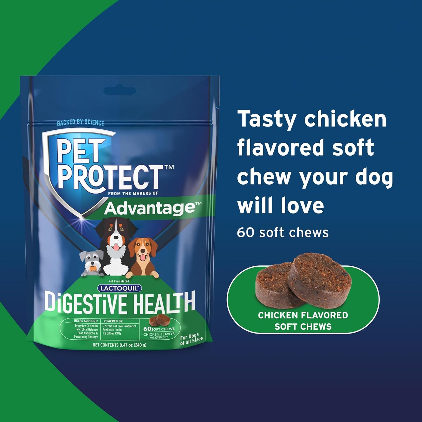 Pet Protect Digestive Health Supplement with Probiotics for Dogs, Vet-Formulated Lactoquil, Chicken-Flavoured Soft Chews (60 Count) - görsel 6