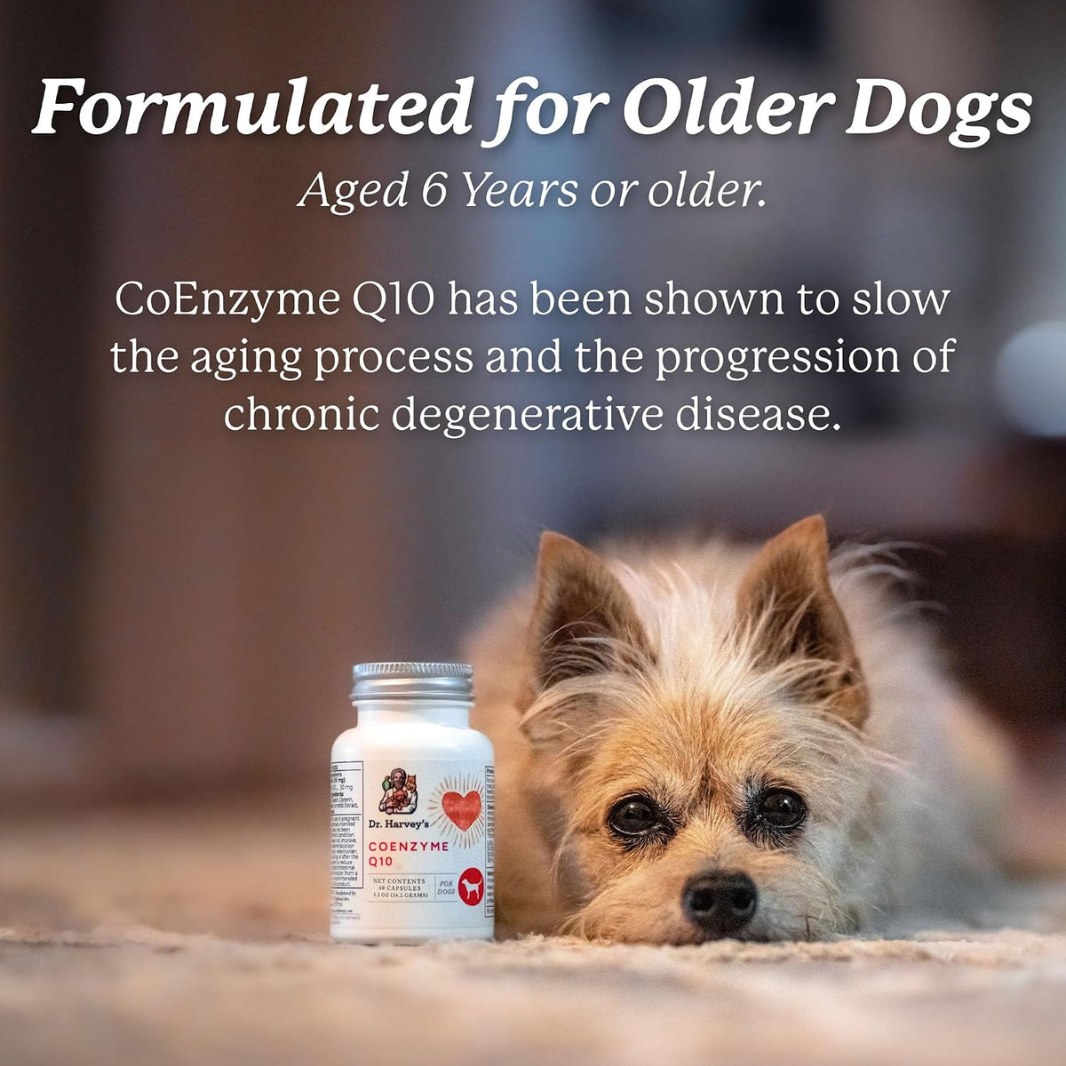Dr. Harvey's Coenzyme Q10 - Heart & Cardiovascular Support Supplements for Dogs, 60 Capsules - görsel 4