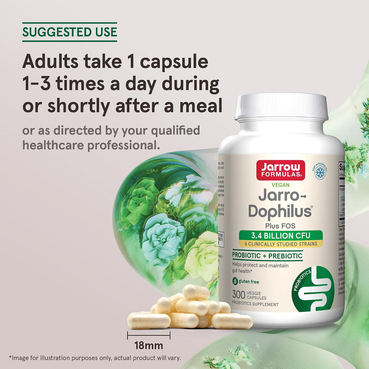 Jarrow Formulae Jarro-Dophilus + FOS - 3.4 Billion CFU Per Serving - Synbiotic with Prebiotic & Probiotics for Immune & Digestive Support - Up to 300 Servings (Veggie Capsules) - görsel 5