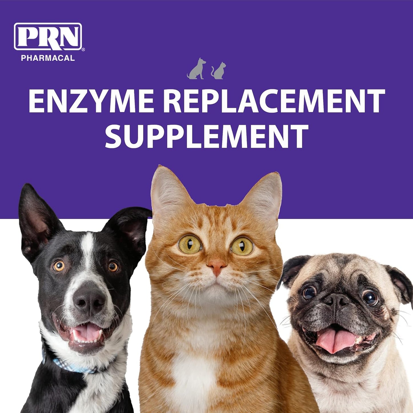 PRN Pharmacal ProZyme Enzyme Replacement Supplement - Natural Digestive Aid for Dogs & Cats - 85g - görsel 3