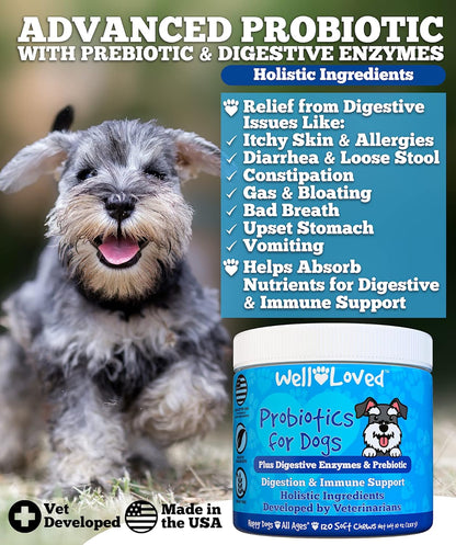 Well Loved Probiotics for Dogs – Soft Chews with Prebiotics and Digestive Enzymes