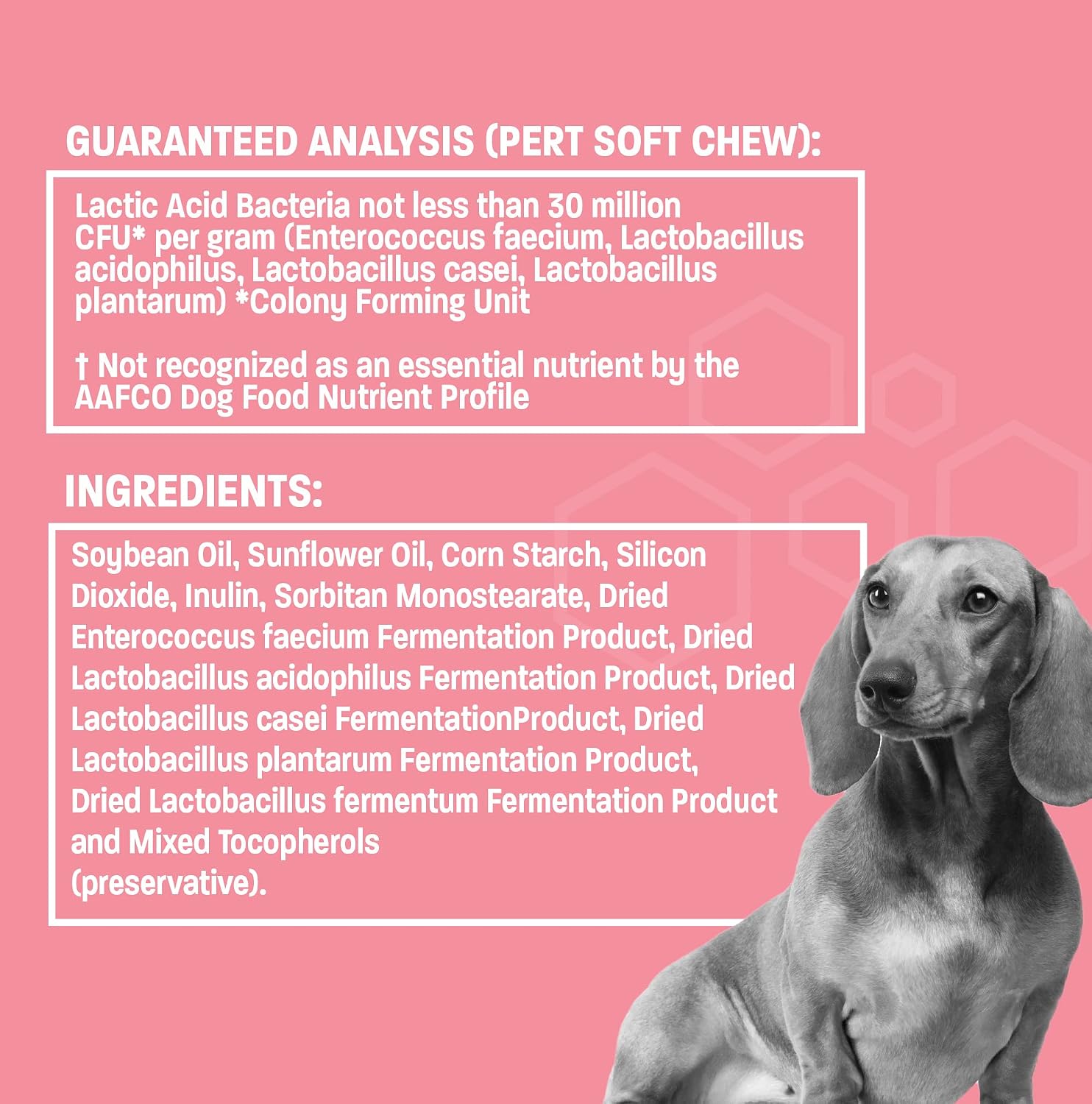 Pet Health Pros Probiotic Oral Paste for Dogs & Cats (30 cc) - görsel 7