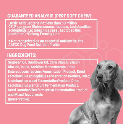 Pet Health Pros Probiotic Oral Paste for Dogs & Cats (30 cc)