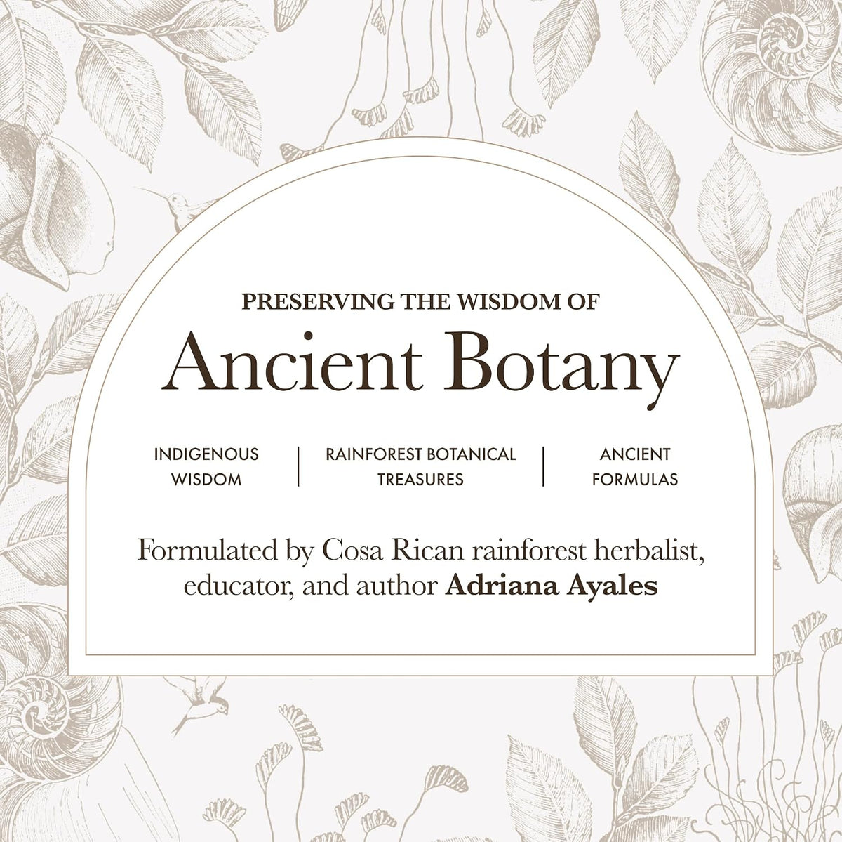 Anima Mundi Apothecary Schisandra Rose Elixir - Liquid Schisandra Berry Adaptogen Supplement with Wildcrafted Rose Petals (120 ml) - görsel 5