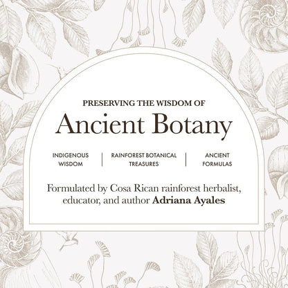 Anima Mundi Apothecary Schisandra Rose Elixir – Liquid Adaptogen with Rose Petals (60 ml)