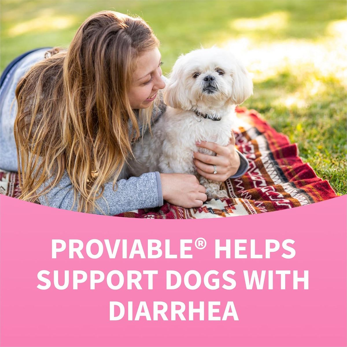 Nutramax Proviable Probiotics for Dogs - Daily Digestive Health Supplement with Prebiotics, 60 Chewable Tablets - görsel 8