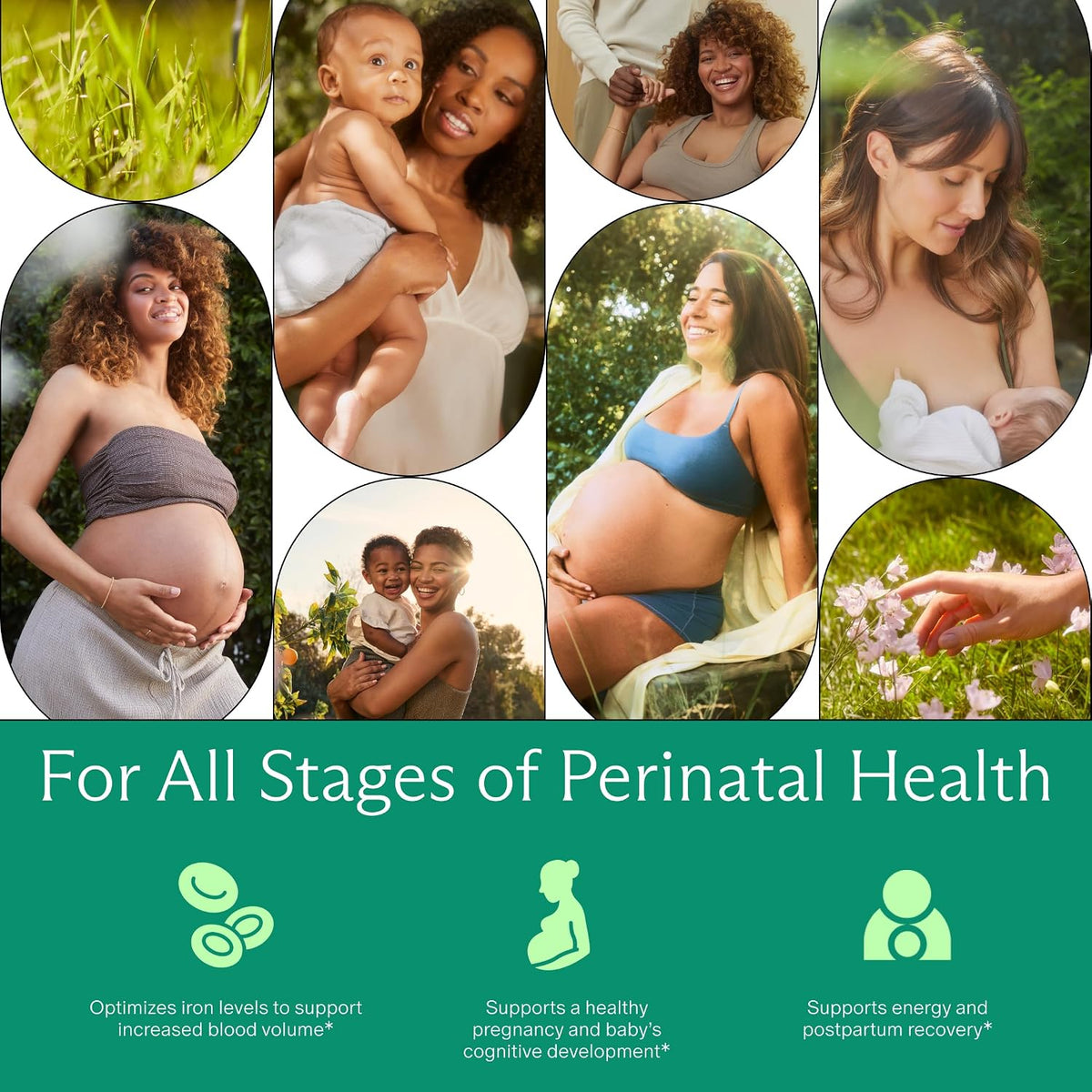 Needed. Prenatal Iron Supplement – Gentle Ferrous Bisglycinate for Pregnancy and Postpartum - görsel 4