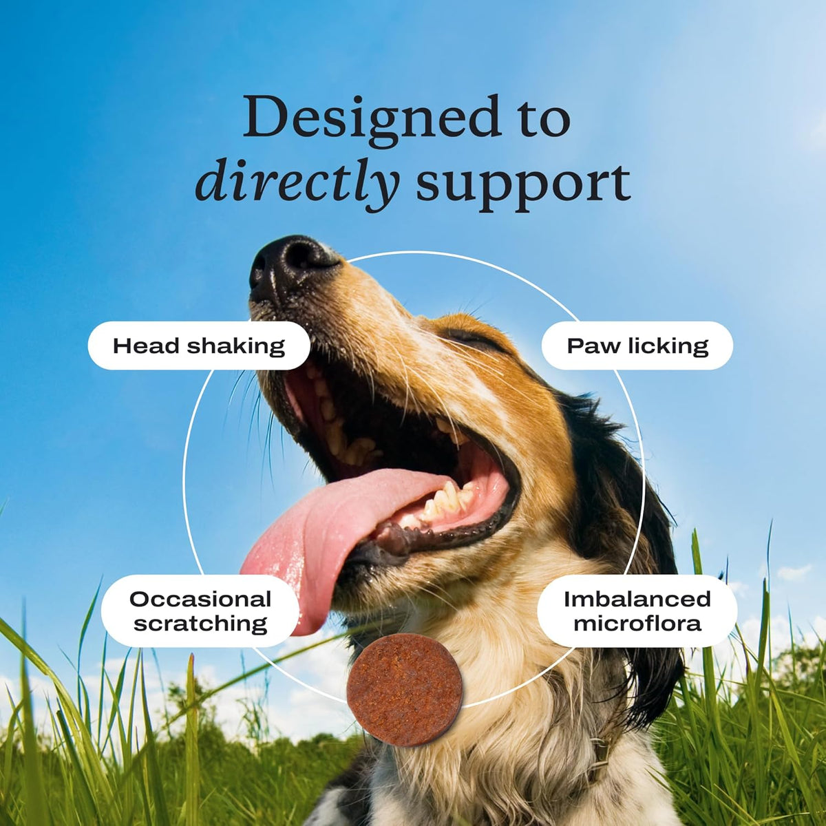 PetLab Co. Allergy & Immune Daily Probiotics for Dogs - Supports Healthy Yeast Balance, Seasonal Sensitivities, Itchiness & Digestive Health - 30 Chews - görsel 3