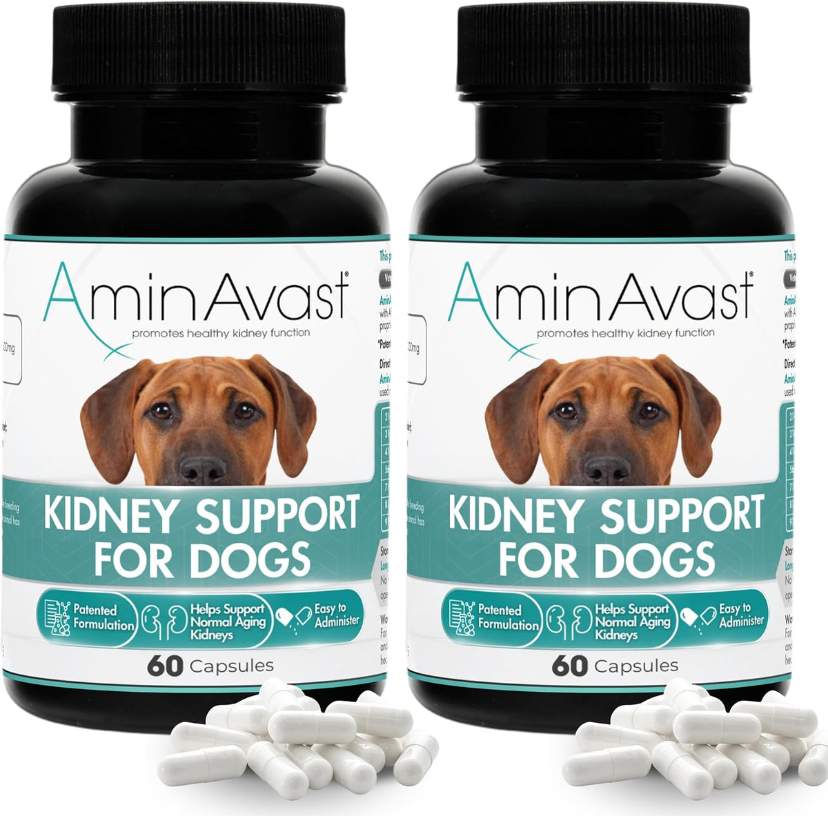 AminAvast Kidney Support Supplement for Dogs, 1000mg 2-Pack – 60 Sprinkle Capsules - görsel 1
