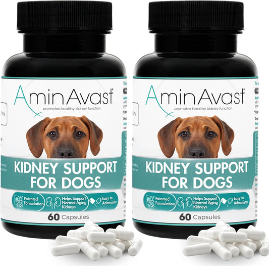 AminAvast Kidney Support Supplement for Dogs, 1000mg 2-Pack – 60 Sprinkle Capsules
