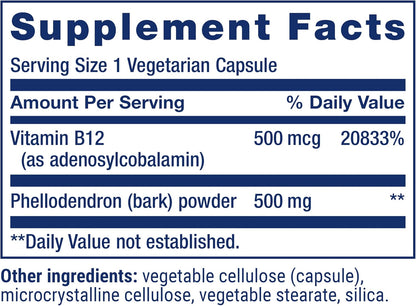 Life Extension Dopamine Advantage: Phellodendron Bark and Vitamin B12 for Cognitive Health, Mental Sharpness and Motivation – 30 Capsules