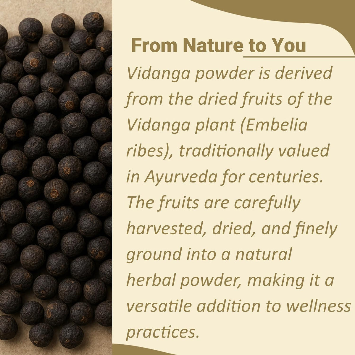 minature Vidanga Powder (Embelia Ribes) - Pure and Natural Herbal Food Supplement, 227g - görsel 2