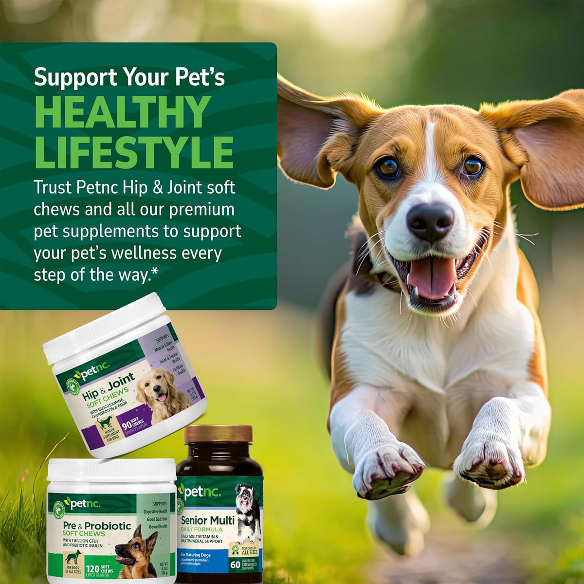 PetNC Natural Care Pre & Probiotic Soft Chews for Dogs - Liver Flavour, 120 Count - görsel 7