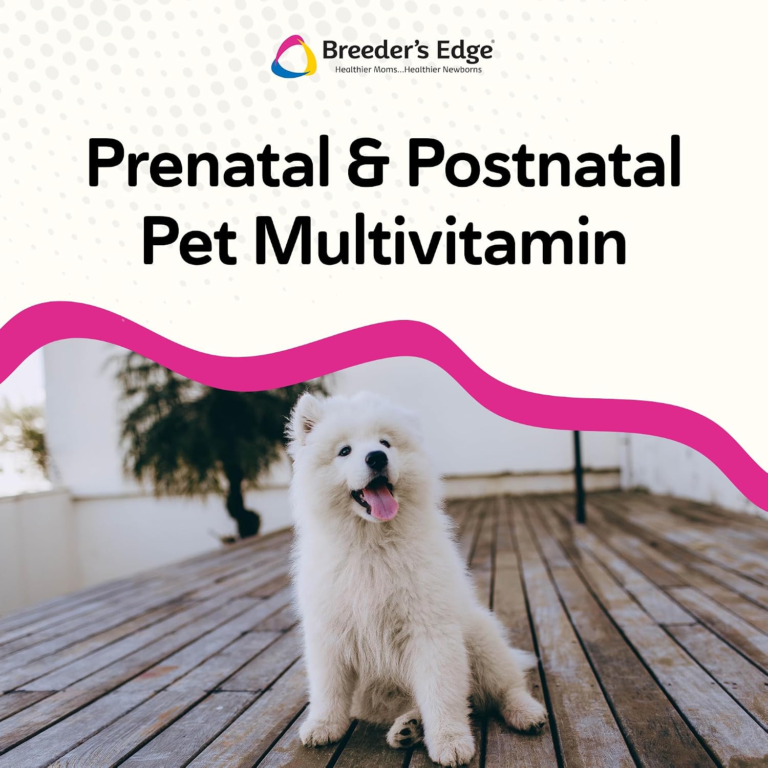 Breeder's Edge Breed to Wean, Prenatal and Postnatal Multivitamin for Dogs and Cats, 400 Count - görsel 4
