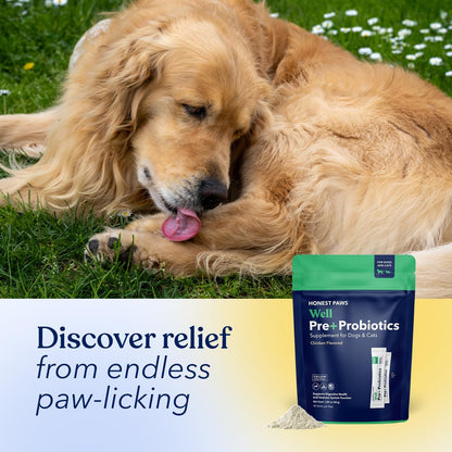 Honest Paws Probiotics for Dogs – Digestive & Immune Support Powder with Prebiotic, Chicken Flavour (30 Sticks)