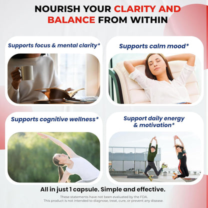 Dopamine Focus Supplement – Ashwagandha, 5-HTP, Rhodiola Rosea, St John's Wort – Support Memory, Clarity, Focus & Relaxation with B1, B6, B12, L-Theanine – 90 Capsules