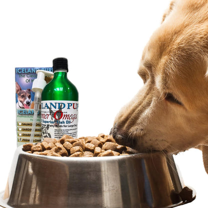 Premier Omega Fish Oil Supplement by Iceland Pure – Wild-Caught – 3053mg Omega-3 per Teaspoon – For Large Dog Breeds – Ethyl Ester Distillation – Pump Bottle BPA-free Brushed Aluminium 17 oz (480 ml)