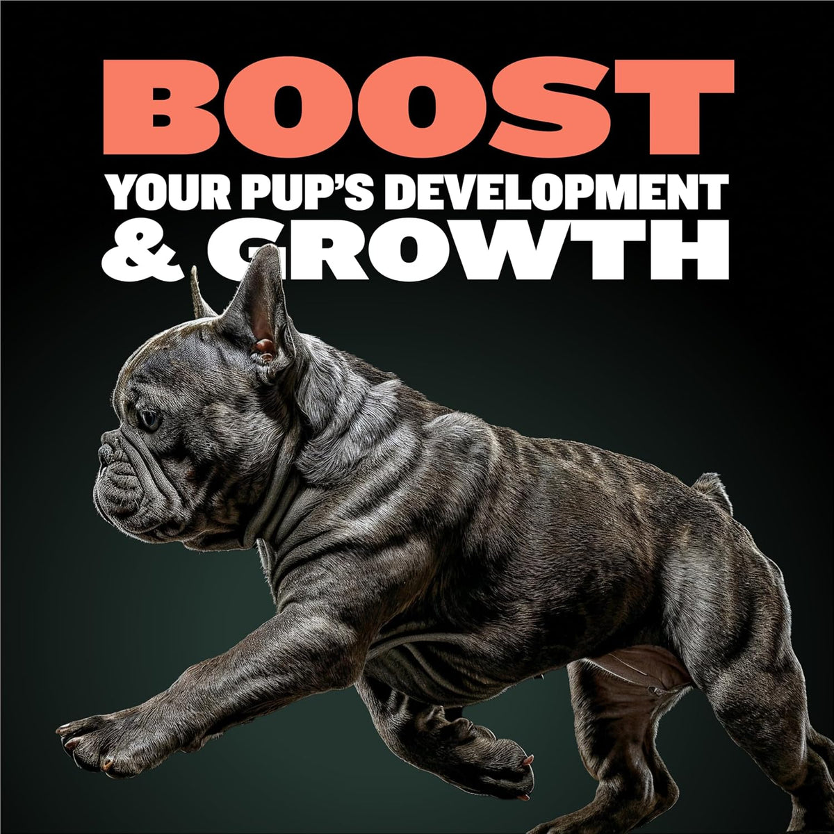 Bully Max 2-in-1 Puppy Vitamins - 30 Chewable Tablets for Growth and Development - görsel 3