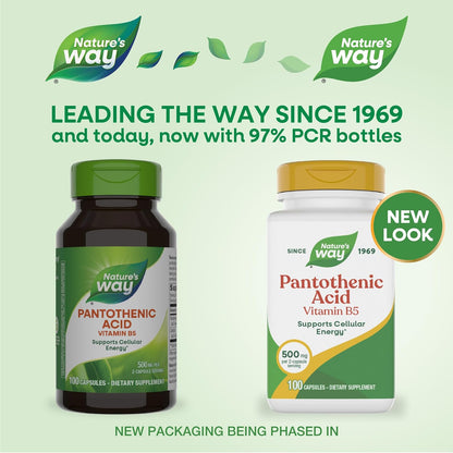 Nature's Way Pantothenic Acid 500mg - Supports Energy Metabolism, 100 Capsules