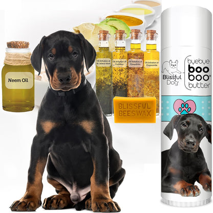 The Blissful Dog Doberman Pinscher Boo Boo Butter (14 g)