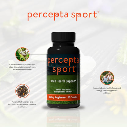 Percepta Sport Brain Supplement for Athletes