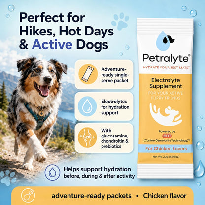 Petralyte Dog Electrolytes and Joint Supplement | Hydration Support with Glucosamine, Chondroitin & More | Electrolytes for Dogs with Prebiotics | Chicken Flavour | 16 Packets
