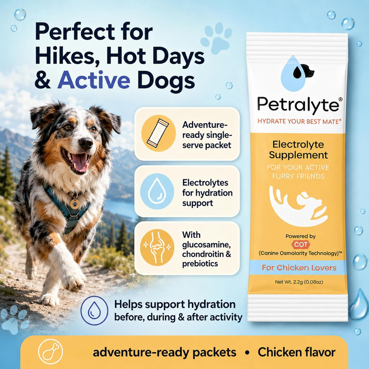 Petralyte Dog Electrolytes and Joint Supplement – Hydration Support with Glucosamine, Chondroitin & More – Chicken Flavour – 32 Packets - görsel 5