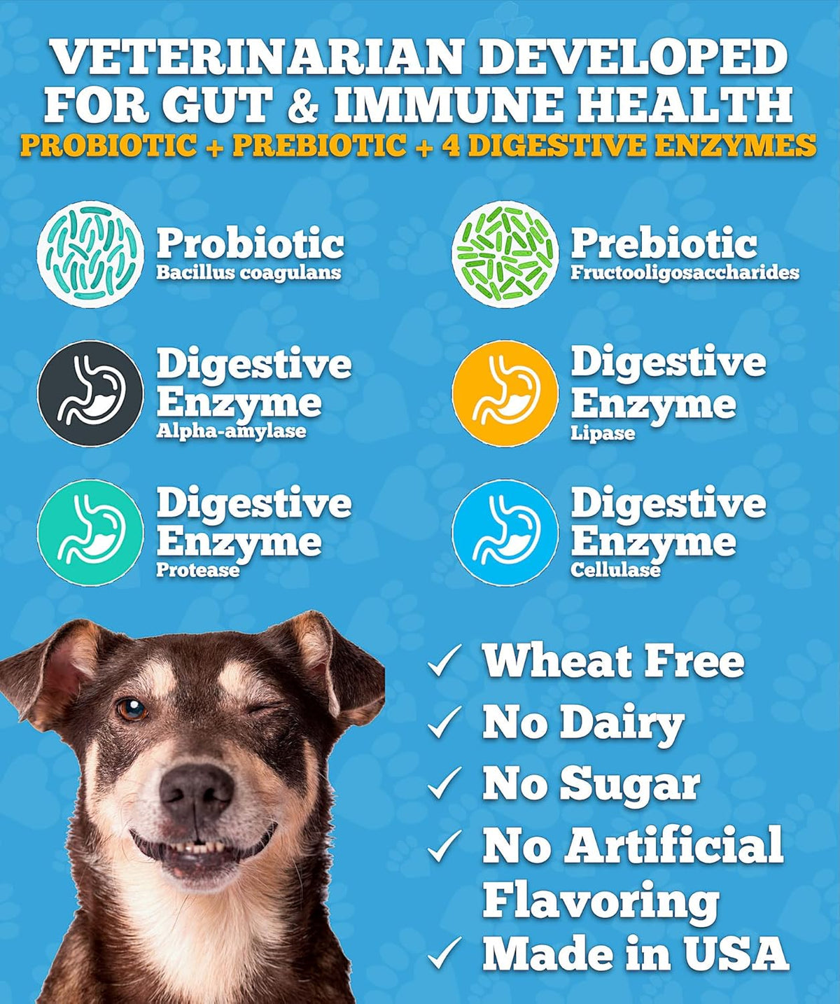 Well Loved Probiotics for Dogs – Soft Chews with Prebiotics and Digestive Enzymes - görsel 4